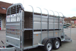 anhaenger_-__ls_146_2-doppelstock_3_500kg_-_nugent_163877.jpg