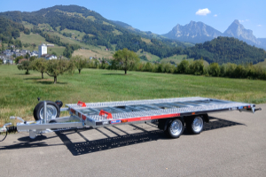 anhaenger_-__pl35-5021_-_lorries_300399.jpg