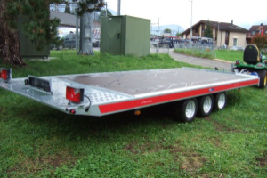 anhaenger_-_carkeeper_4820_3_3_500kg__holz__-_temared_164442.jpg