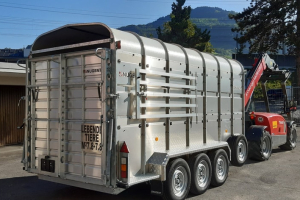 anhaenger_-_ls_146_3_doppestock_swiss_-_nugent_163887.jpg