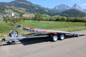anhaenger_-_pl35-4521_-_lorries_300393.jpg