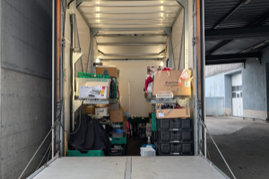 anhaenger_-_rennwagen_transport_anhaenger_-_daltec_308858.jpg