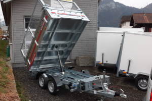 anhaenger_-_tipper_rueckwaertskipper_2_000kg_mit_stahlwaenden_-_temared_196056.jpg