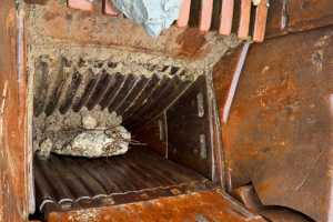 baumaschine_-_gipo_bac__-_gipo_307147.jpg