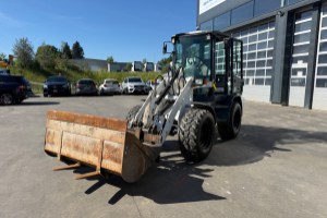 baumaschine_-_tl65_sws_schaufel_und_gabeln_-_terex_295311.jpg