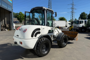 baumaschine_-_tl65_sws_schaufel_und_gabeln_-_terex_295315.jpg