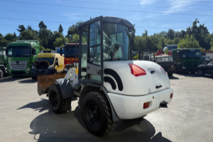 baumaschine_-_tl65_sws_schaufel_und_gabeln_-_terex_295317.jpg