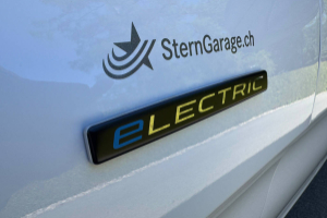 evito-129-kasten-worker-lang-90-kwh-panel-van-mercedes_287131.jpg