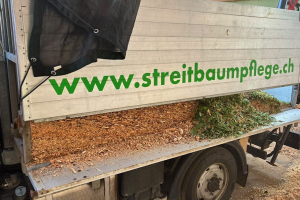 lastwagen_-_aebi_mt750_-_aebi_302918.jpg