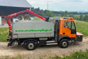 lastwagen_-_aebi_mt750_-_aebi_302920.jpg