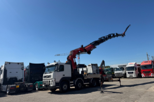 lastwagen_-_fm_480_szm_8x2_fassi_1100_flyjip_troil__-_volvo_304237.jpg