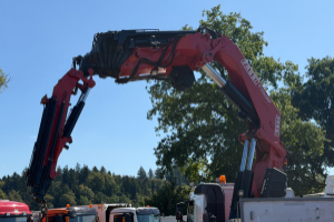 lastwagen_-_fm_480_szm_8x2_fassi_1100_flyjip_troil__-_volvo_304238.jpg