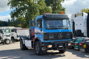 lastwagen_-_sk_1831_4x2_fassi_f105_kipper__-_mercedes_306979.jpg