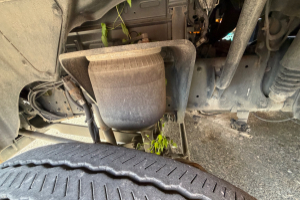 lastwagen_-_tgm_15_250_4x2__-_man_303386.jpg