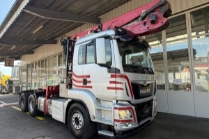 lastwagen_-_tgs_33_480_-_man_291446.jpg