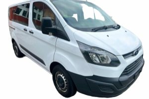 lieferwagen_und_transporter_-__personentransport__9_plaetze__-_others_255086.jpg