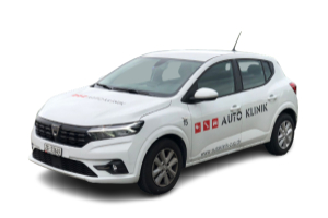 lieferwagen_und_transporter_-__personenwagen_neu__automatikgetriebe__-_dacia_255078.jpg
