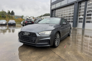 lieferwagen_und_transporter_-_a5_2_0tfsi_quattro_s-line_-_audi_247755.jpg