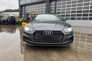 lieferwagen_und_transporter_-_a5_2_0tfsi_quattro_s-line_-_audi_247756.jpg