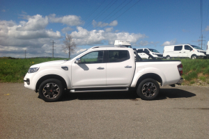 lieferwagen_und_transporter_-_alaskan_twin-turbo_2_3_dci190_4x4___ice-edition__euro_6_-_renault_176836.jpg