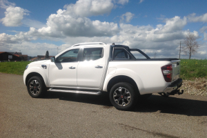 lieferwagen_und_transporter_-_alaskan_twin-turbo_2_3_dci190_4x4___ice-edition__euro_6_-_renault_176837.jpg