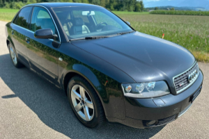 lieferwagen_und_transporter_-_audi_a4_2_5_tdi_quattro_-_audi_300209.jpg