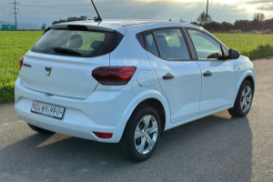 lieferwagen_und_transporter_-_dacia_sandero_tce_90_essential_-_dacia_300271.jpg
