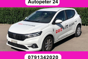 lieferwagen_und_transporter_-_dacia_sandero_tce_90_expression_cvt_-_dacia_300415.jpg