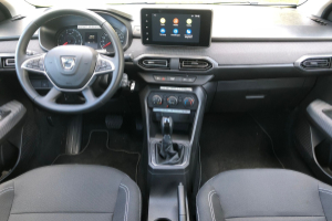 lieferwagen_und_transporter_-_dacia_sandero_tce_90_expression_cvt_-_dacia_300417.jpg