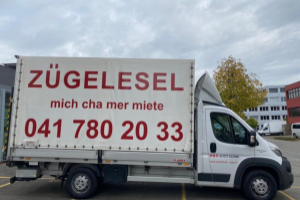lieferwagen_und_transporter_-_fiat_ducato_35_2_3_mj_-_fiat_300576.jpg