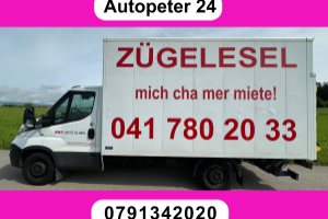 lieferwagen_und_transporter_-_iveco_35_s_18_a8_-_iveco_285897.jpg