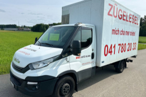 lieferwagen_und_transporter_-_iveco_35_s_18_a8_-_iveco_300536.jpg