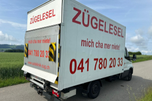 lieferwagen_und_transporter_-_iveco_35_s_18_a8_-_iveco_300540.jpg
