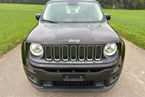 lieferwagen_und_transporter_-_jeep_renegade_1_4_turbo_street_edition_-_jeep_285578.jpg