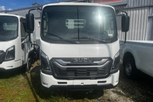 lieferwagen_und_transporter_-_m21_tt_e_1_9_dreiseitenkipper_titan_-_isuzu_302929.jpg