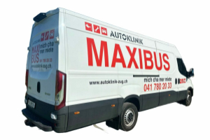lieferwagen_und_transporter_-_maxibus_xxl_transporter_-_others_255094.jpg