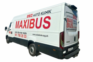 lieferwagen_und_transporter_-_maxibus_xxl_transporter_-_others_286031.jpg