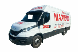 lieferwagen_und_transporter_-_maxibus_xxl_transporter_-_others_300626.jpg