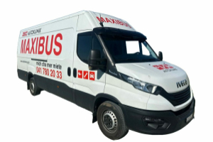lieferwagen_und_transporter_-_maxibus_xxl_transporter_-_others_300629.jpg