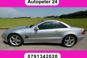lieferwagen_und_transporter_-_mercedes-benz_sl_500_7g-tronic_-_mercedes_255652.jpg