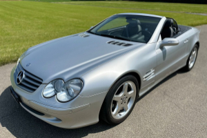 lieferwagen_und_transporter_-_mercedes-benz_sl_500_7g-tronic_-_mercedes_255653.jpg