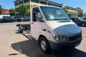 lieferwagen_und_transporter_-_mercedes-benz_sprinter_313_cdi_-_mercedes_300490.jpg