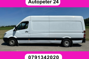 lieferwagen_und_transporter_-_mercedes-benz_sprinter_313_cdi_extralang_-_others_300505.jpg