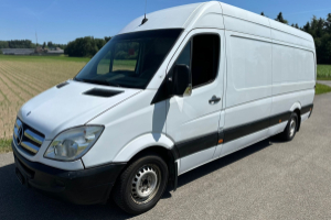 lieferwagen_und_transporter_-_mercedes-benz_sprinter_313_cdi_extralang_-_others_300506.jpg