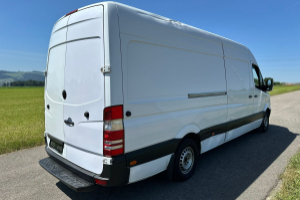 lieferwagen_und_transporter_-_mercedes-benz_sprinter_313_cdi_extralang_-_others_300509.jpg