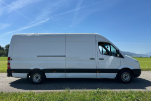 lieferwagen_und_transporter_-_mercedes-benz_sprinter_313_cdi_extralang_-_others_300510.jpg