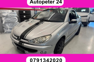lieferwagen_und_transporter_-_peugeot_206_cc_2_0_16v_-_peugeot_308039.jpg