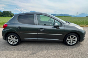 lieferwagen_und_transporter_-_peugeot_207_1_6_16v_lion_edition_-_peugeot_300193.jpg