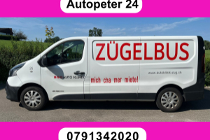 lieferwagen_und_transporter_-_renault_trafic_1_6_energy_twint__dci120_2_9t_business_l2h1_-_renault_300541.jpg