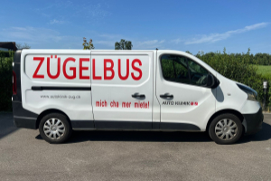 lieferwagen_und_transporter_-_renault_trafic_1_6_energy_twint__dci120_2_9t_business_l2h1_-_renault_300545.jpg